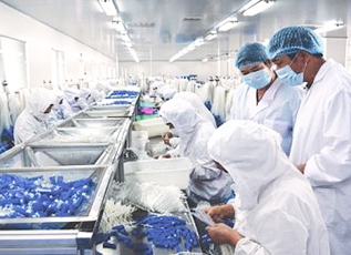 BOBty综合体育·(BOB Sport)官方网站